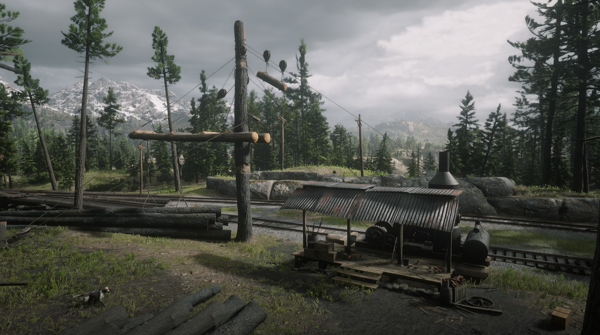 Appleseed Timber Company RED DEAD REDEMPTION 2 情報&攻略 wiki RDR2 atwiki（アットウィキ）